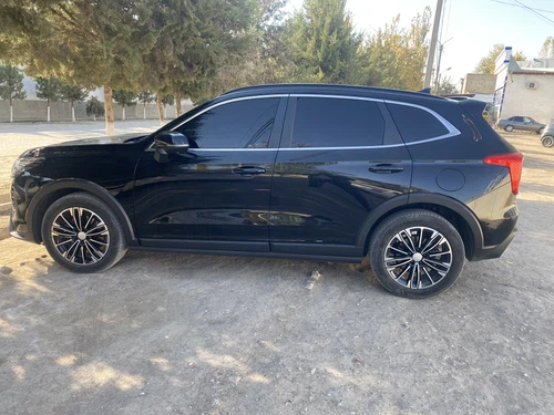 Haval Jolion, 2024, Qashqadaryo