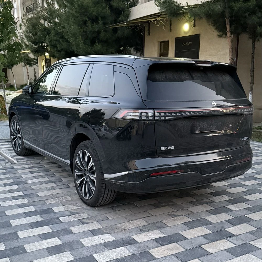 Dongfeng EP 008