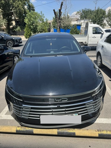 BYD Chazor, 2024, Toshkent shahri