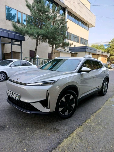 Dongfeng Aeolus Huge, 2024, Toshkent