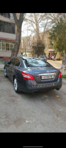 Nissan Maxima, 2008, Toshkent shahri