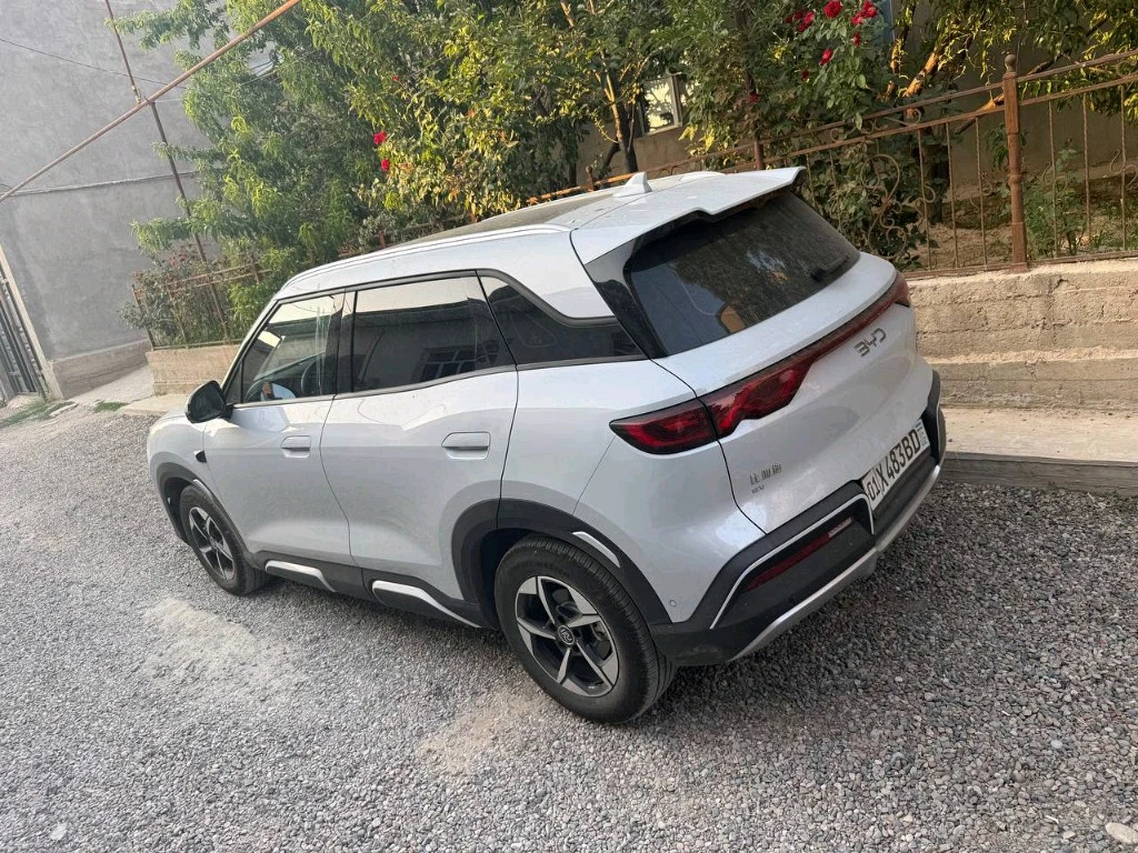 BYD Yuan Up