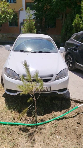 Chevrolet Lacetti, 2019, Navoiy