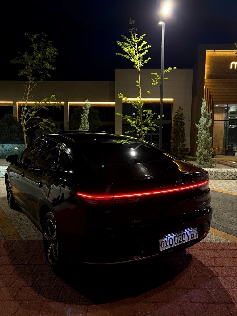 BYD Chazor