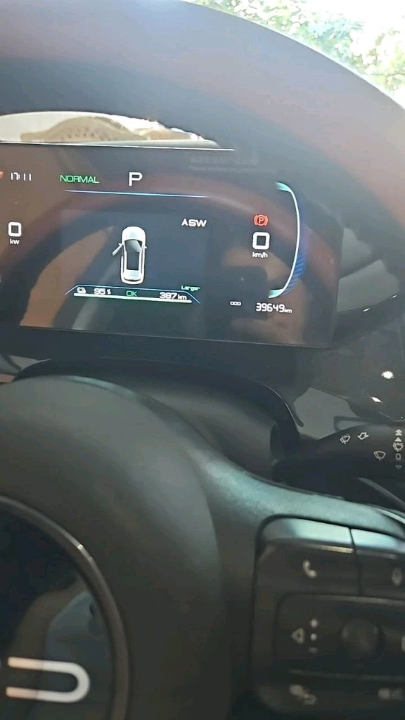 BYD E2