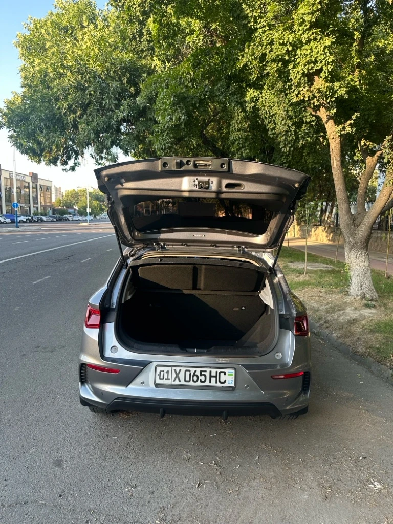 BYD E2