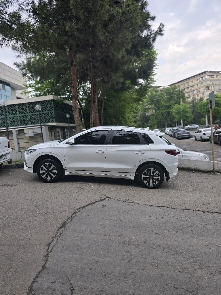 BYD E2