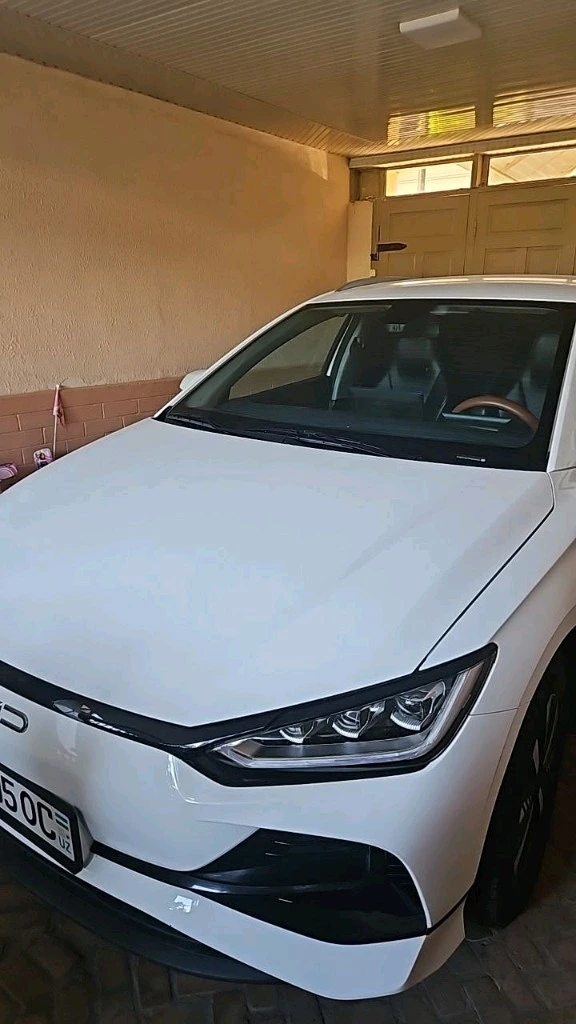 BYD E2