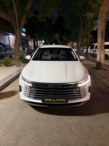 BYD Chazor, 2024, Toshkent shahri