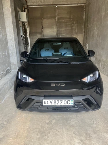 BYD Seagull, 2024, Toshkent shahri