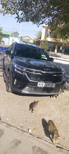 Kia Seltos, 2024, Buxoro