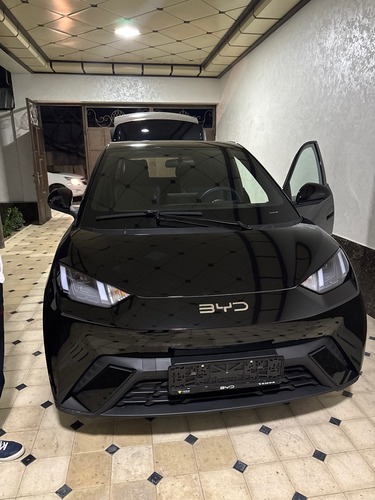 BYD Seagull, 2024, Toshkent