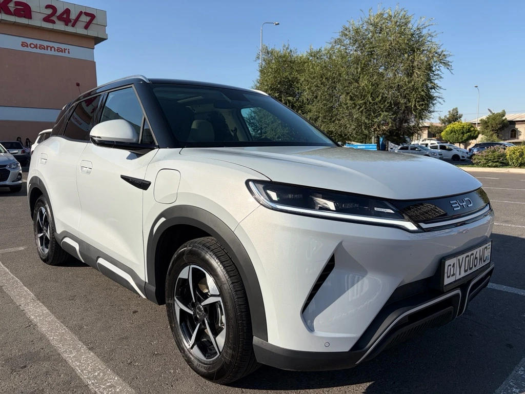 BYD Yuan Up
