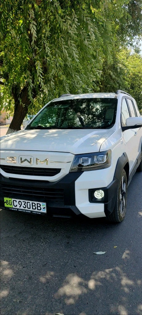 SWM G03F