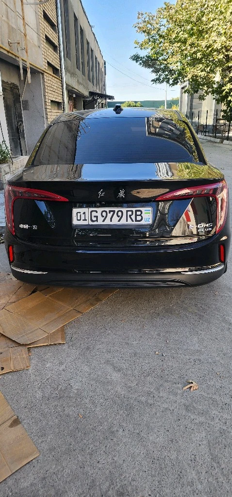 Hongqi E-QM5