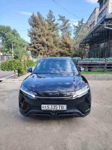 BYD Yuan Up, 2025, Ташкент (город)
