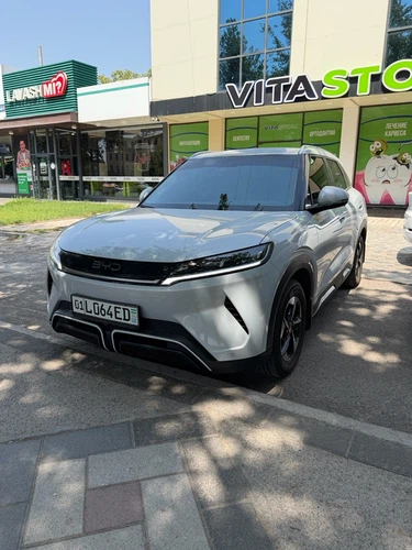 BYD Yuan Up, 2025, Toshkent shahri