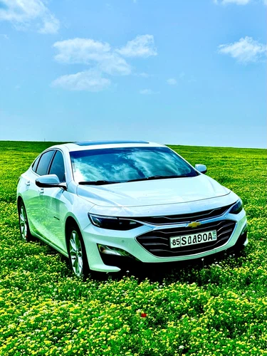 Chevrolet Malibu, 2020, Кашкадарьинская область