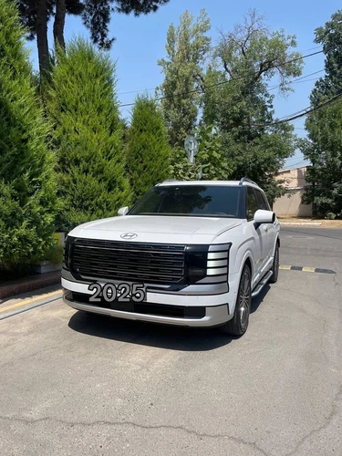 Hyundai Palisade, 2025, Toshkent shahri