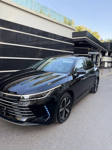 BYD Chazor, 2023, Toshkent