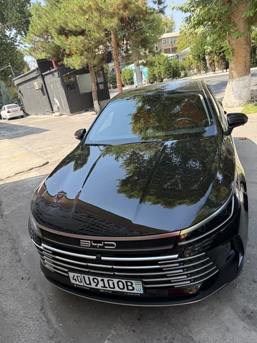 BYD Chazor, 2024, Farg'ona