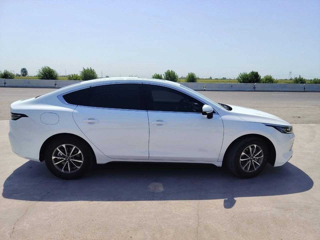 BYD Chazor