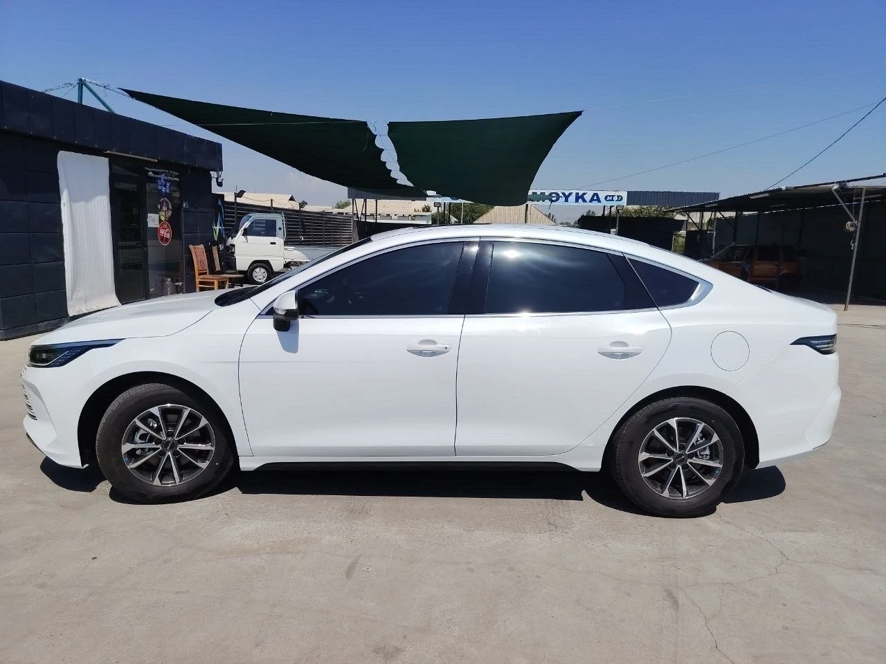 BYD Chazor