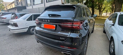 SWM G01