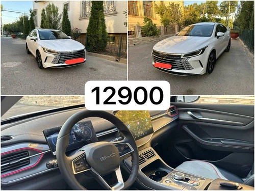 BYD Chazor, 2024, Toshkent