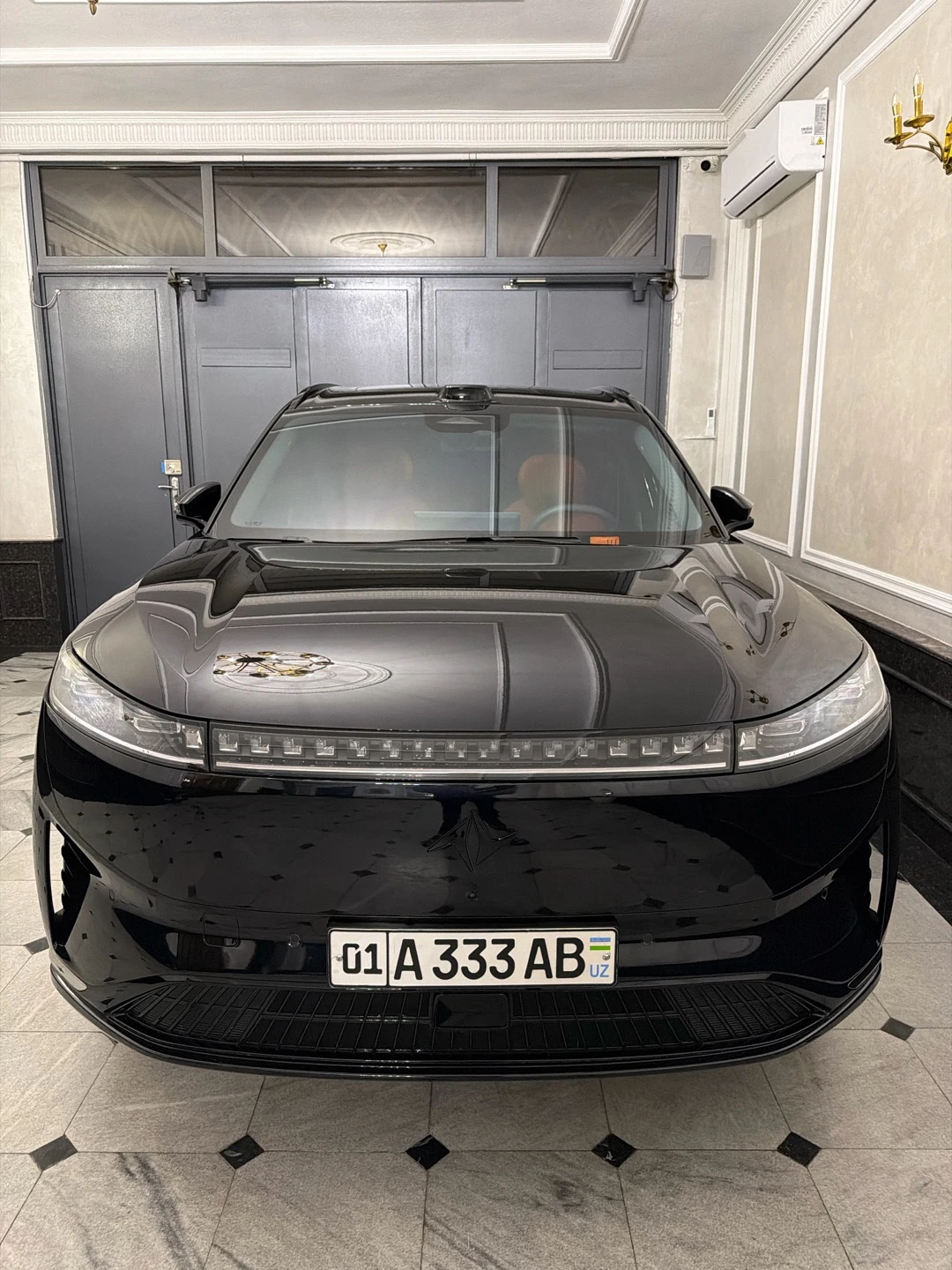 Dongfeng EP 008