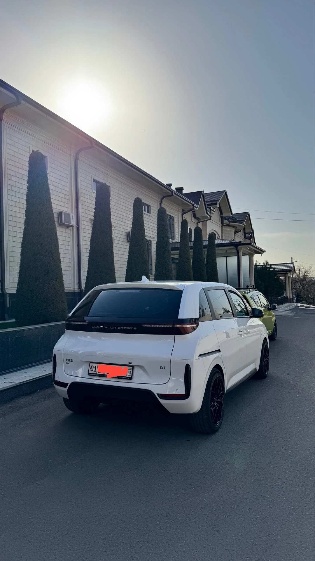 BYD D1