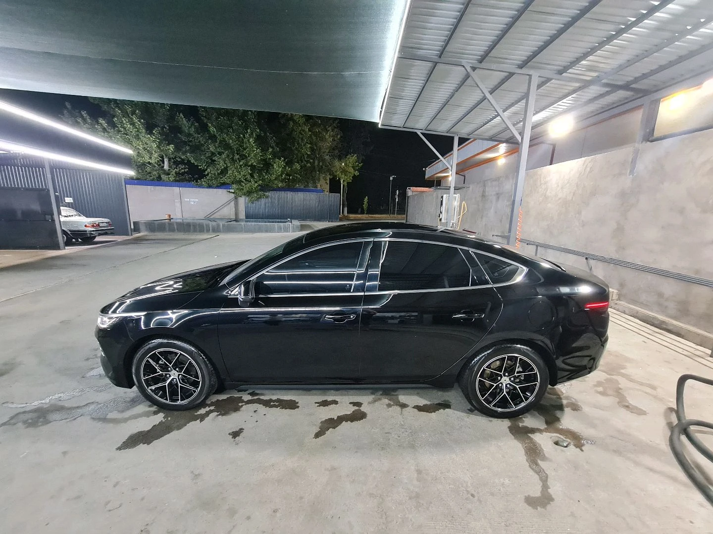BYD Chazor