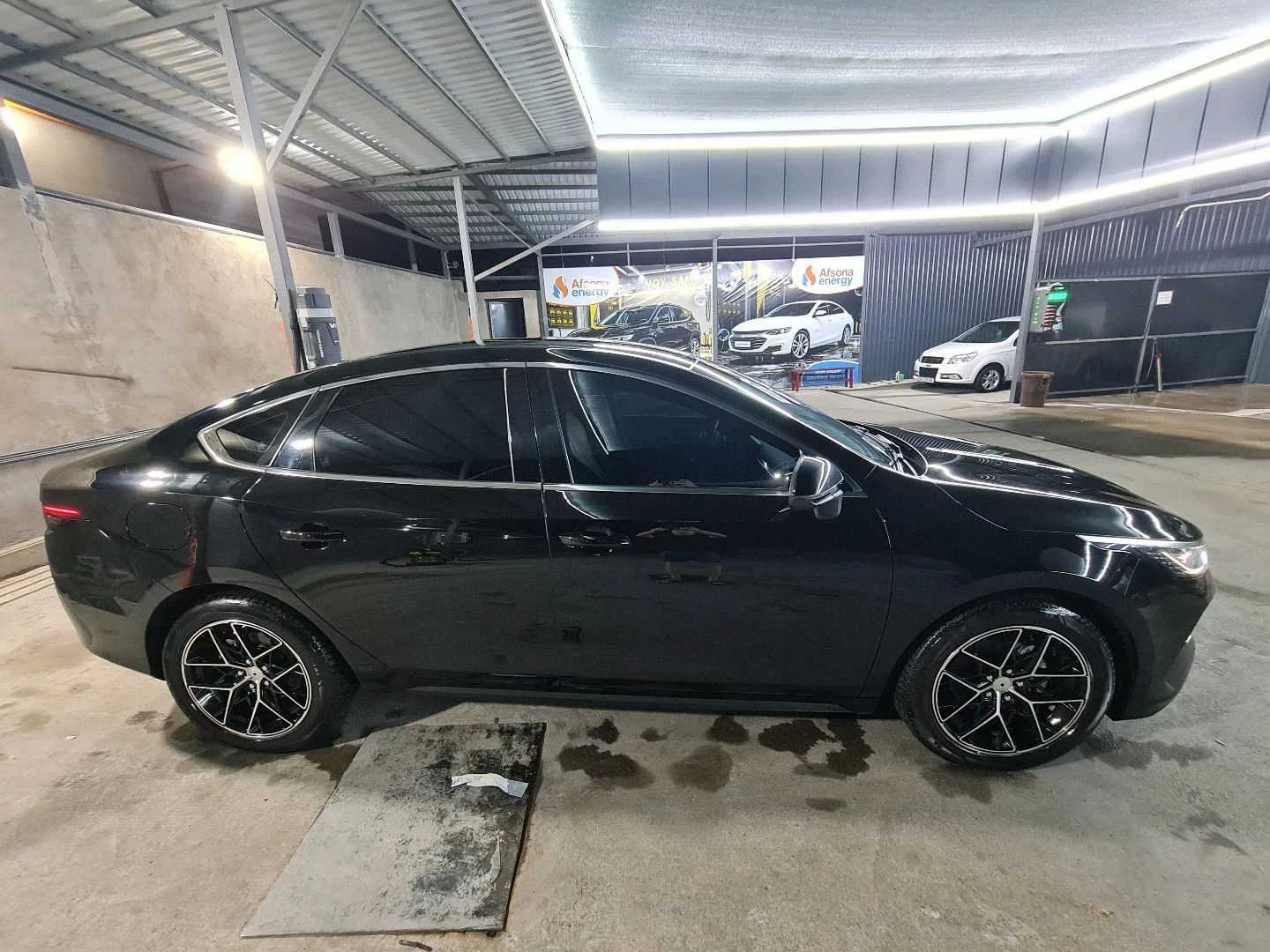 BYD Chazor