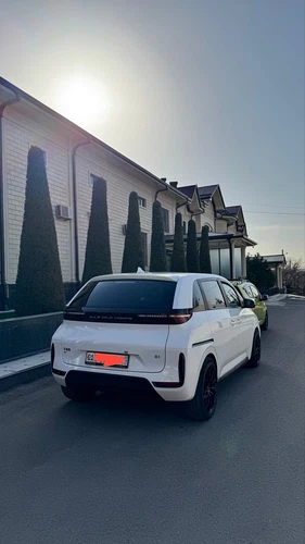 BYD D1