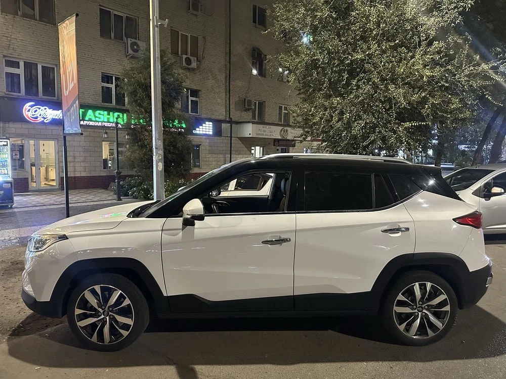 JAC iEVS4
