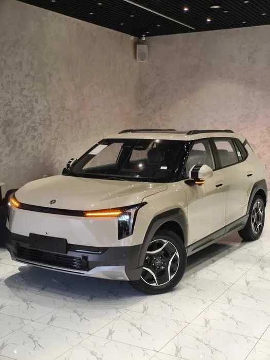 Dongfeng Nammi 01