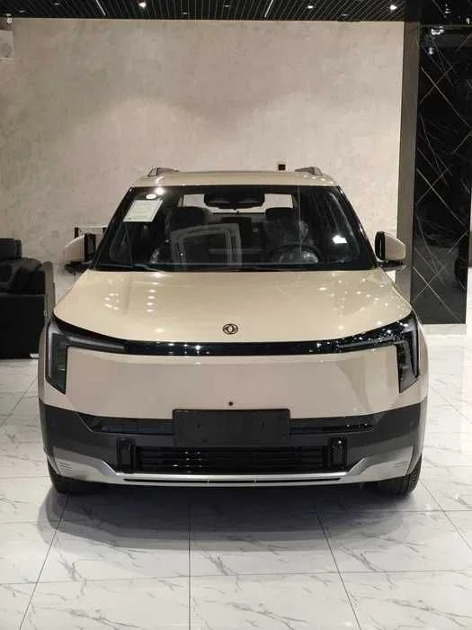Dongfeng Nammi 01