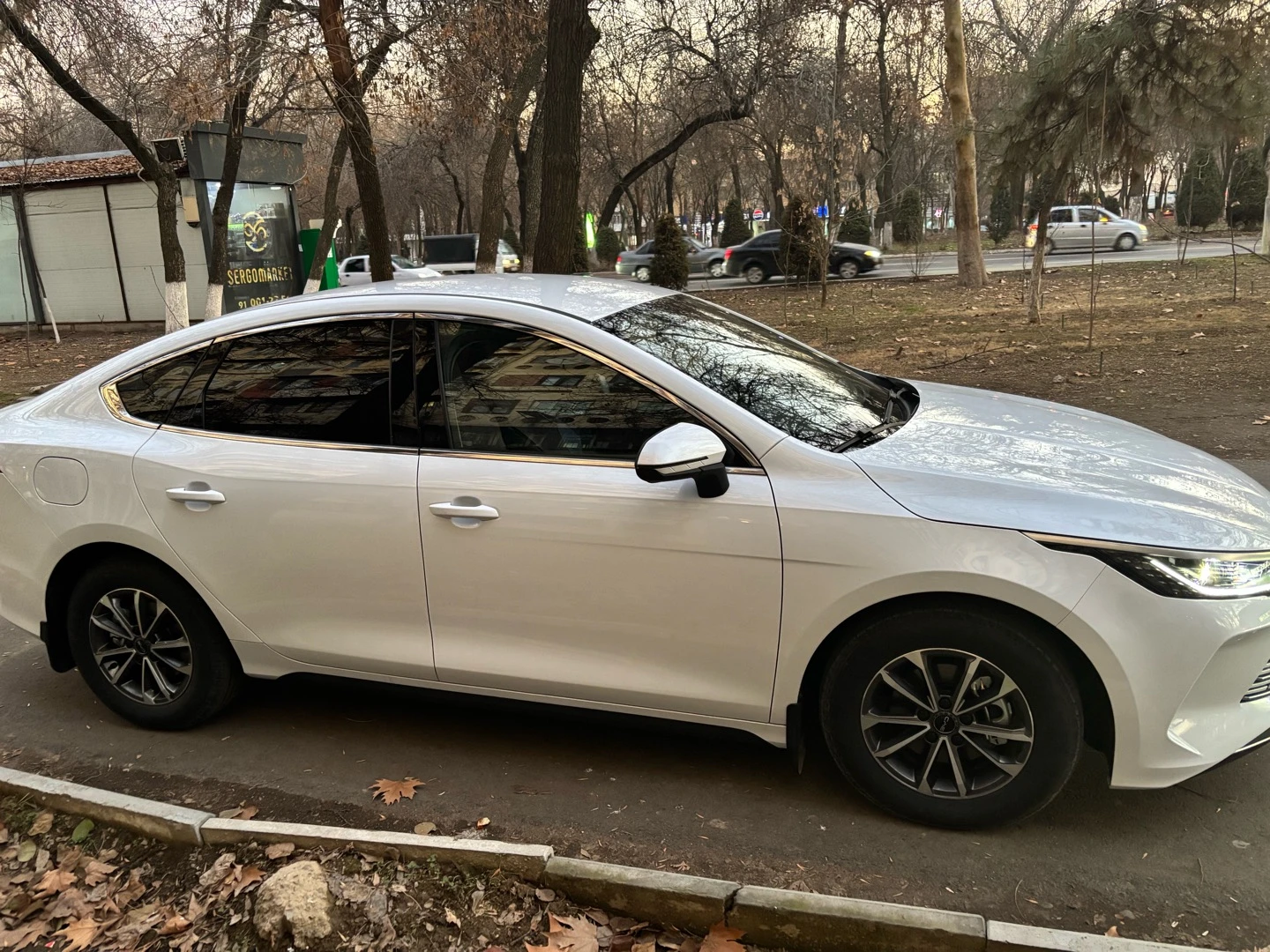 BYD Chazor