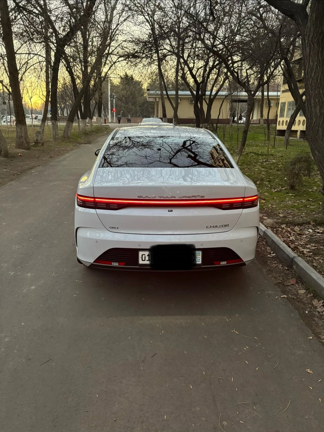 BYD Chazor