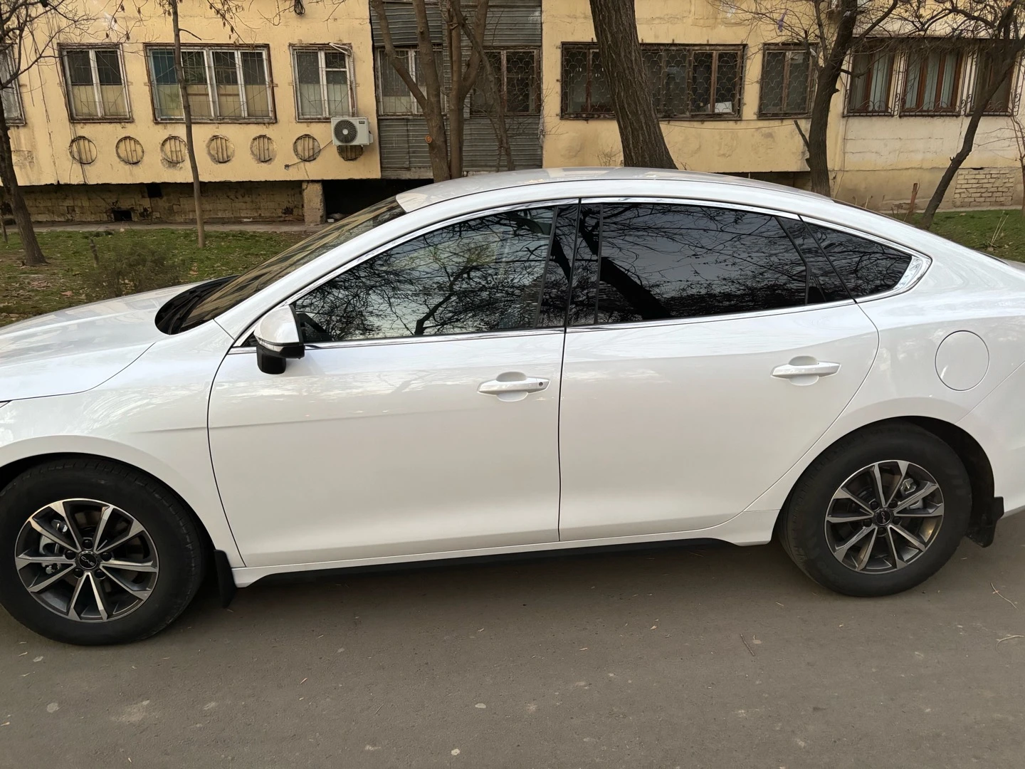 BYD Chazor