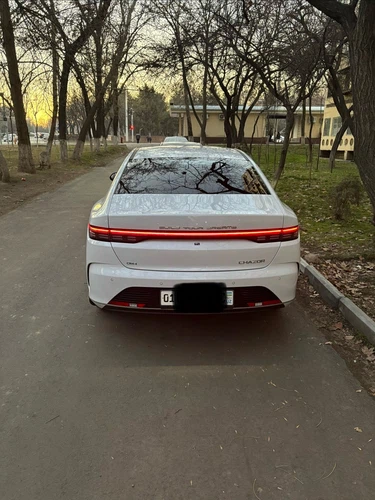 BYD Chazor