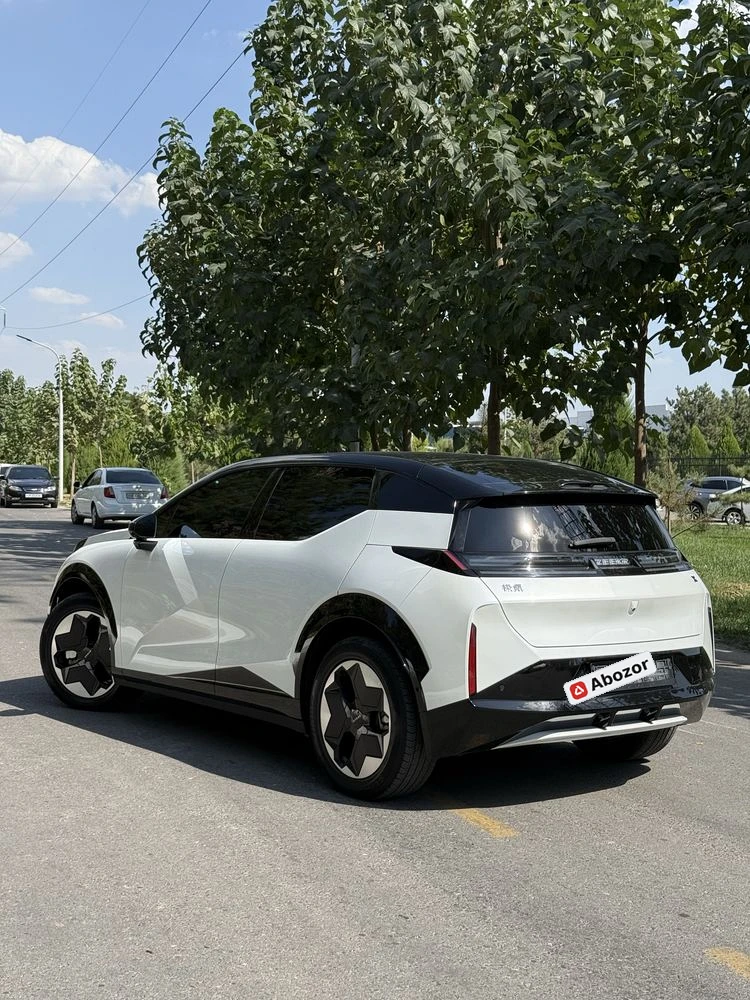 Zeekr 8X