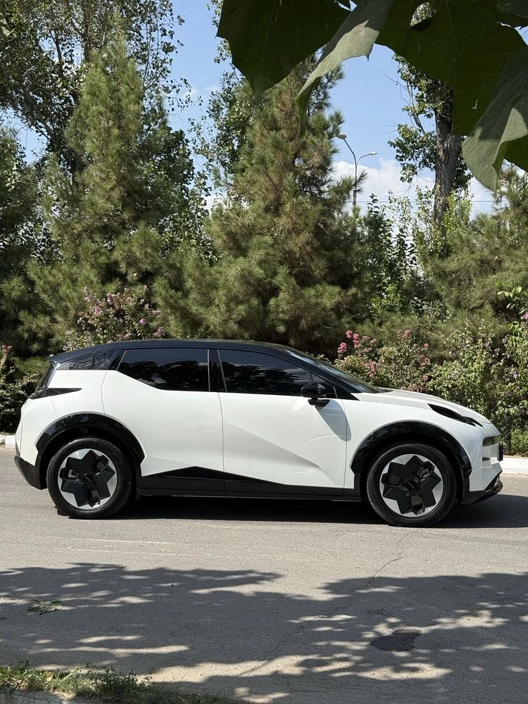 Zeekr 8X