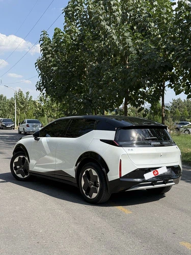 Zeekr 8X
