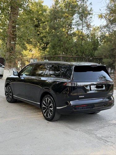 Dongfeng EP 008