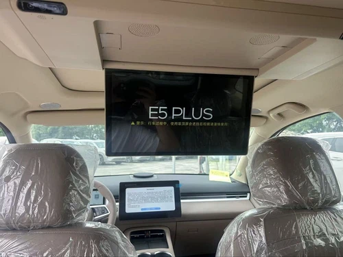 Dongfeng Landian e5 plus
