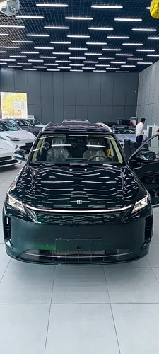 Dongfeng Landian e5 plus