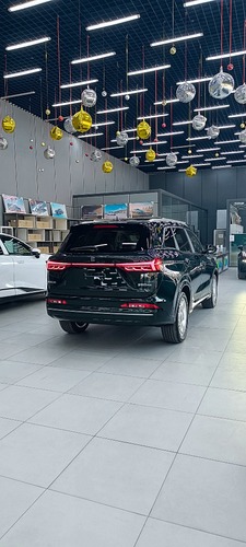 Dongfeng Landian e5 plus