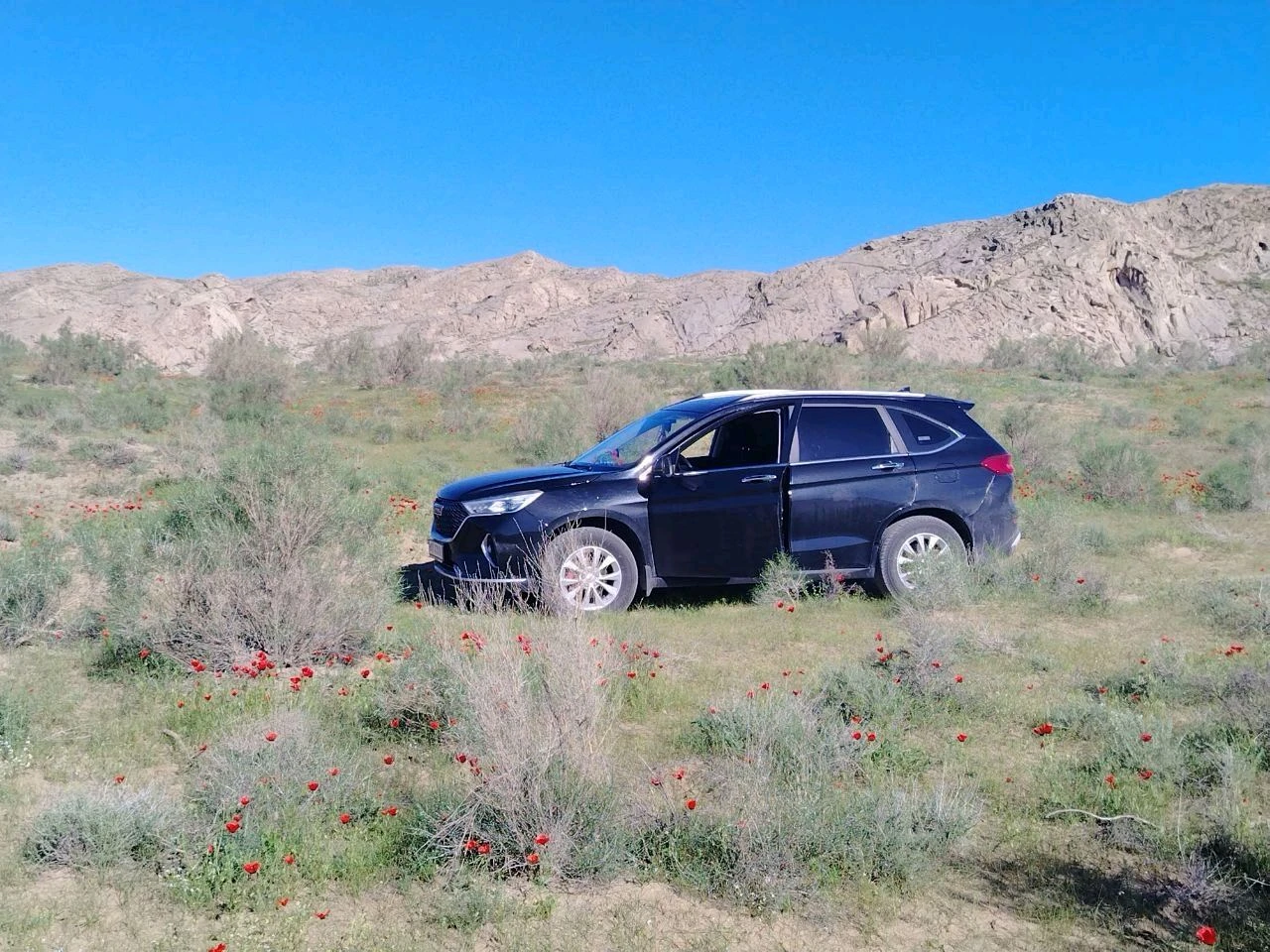 Haval M6