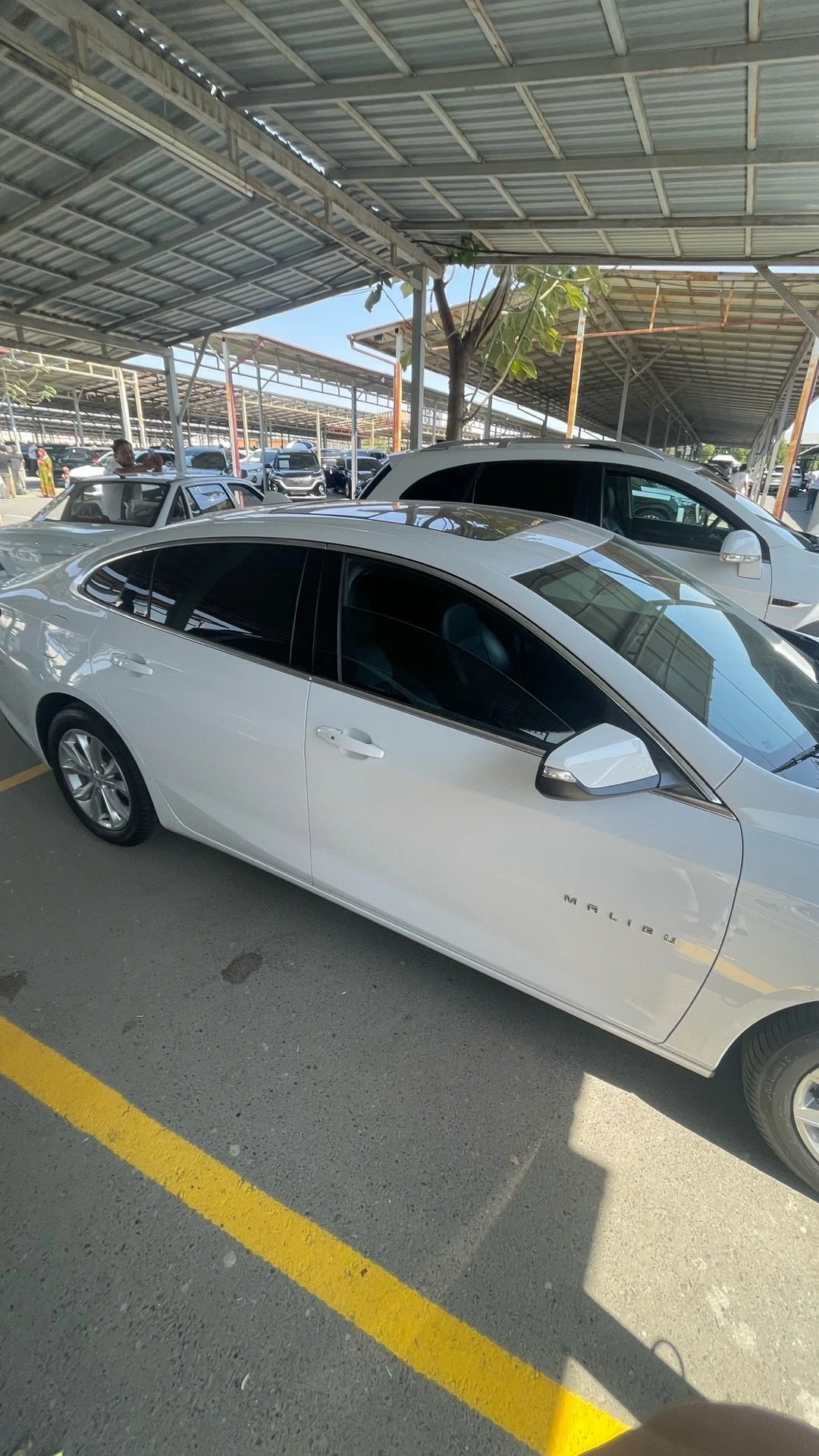Chevrolet Malibu